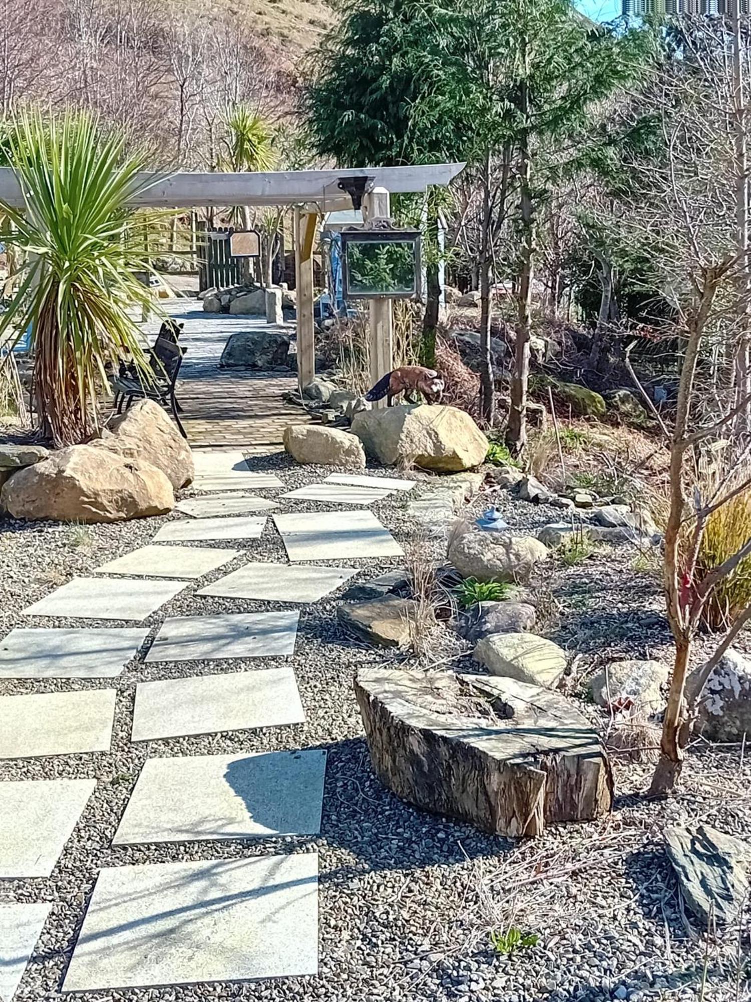 Clarisses Cottage Laragh Dış mekan fotoğraf